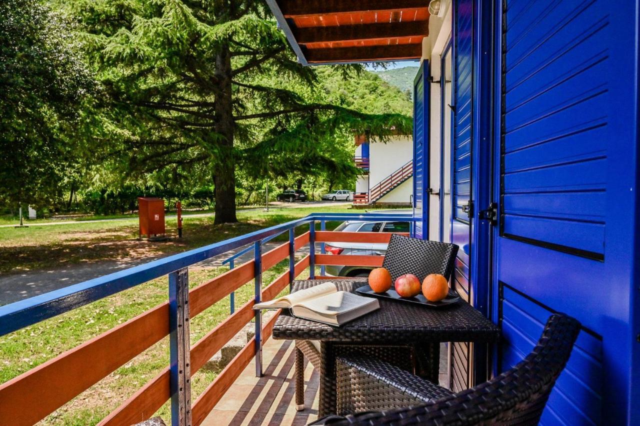 Campsite & Holiday * Medveja